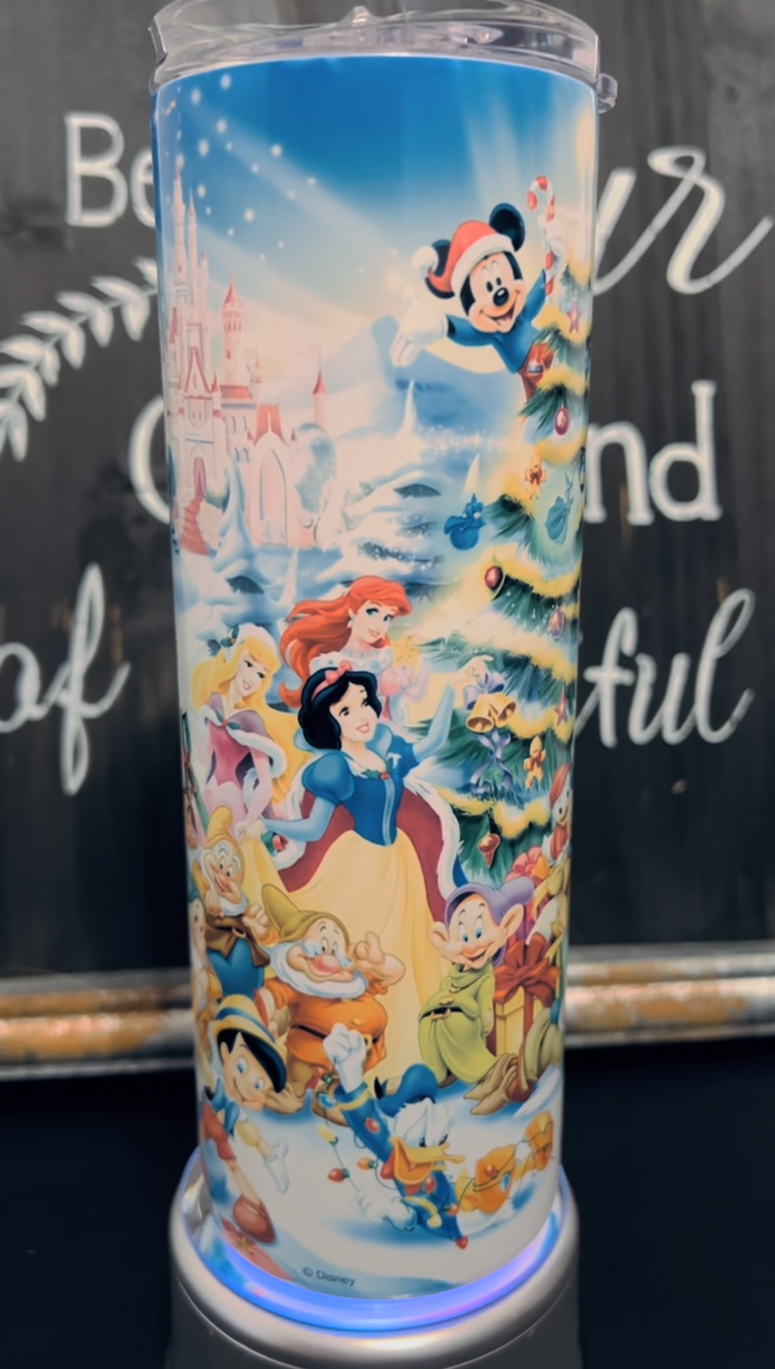 Disney Christmas 20oz Skinny Straight Tumbler