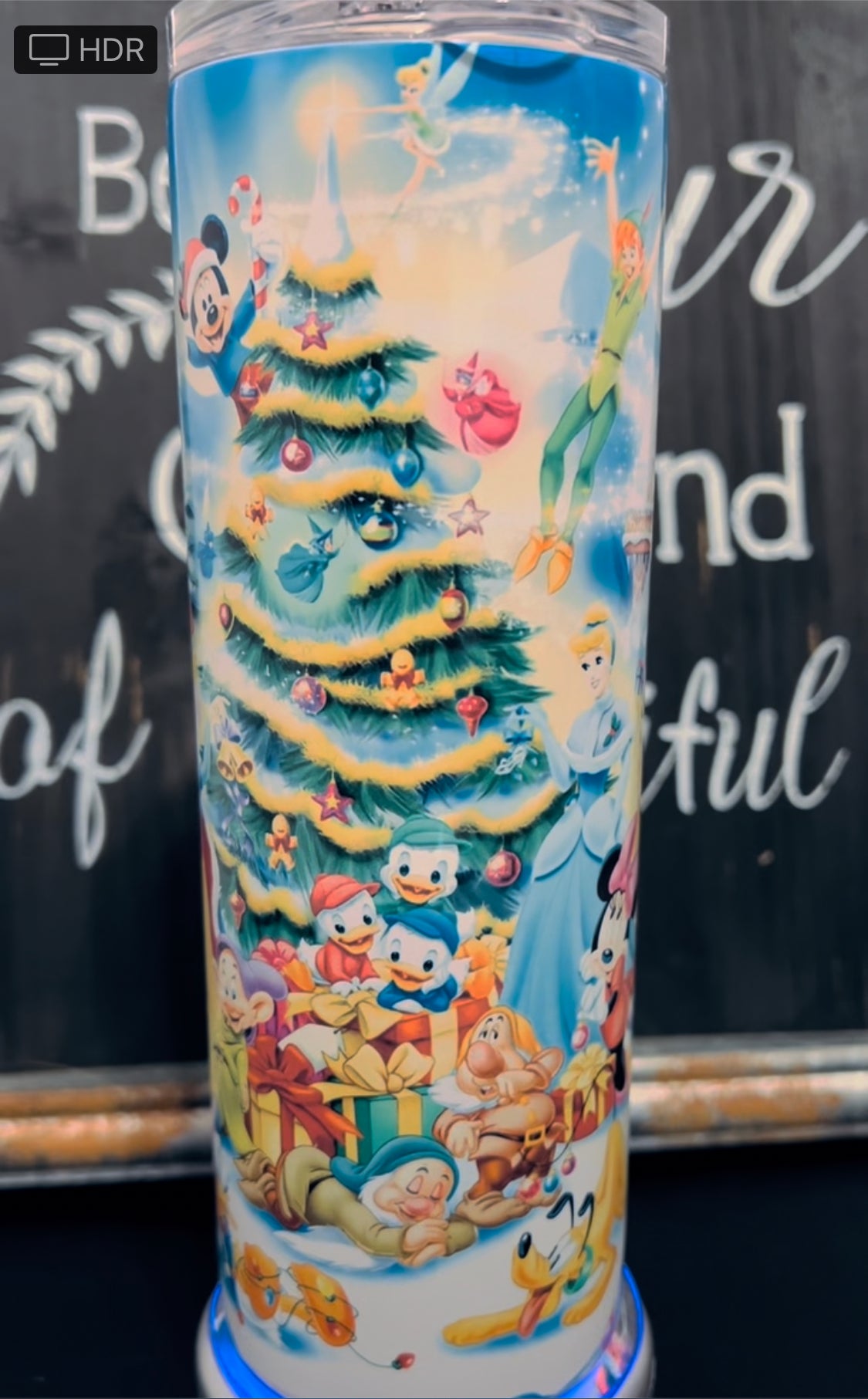 Disney Christmas 20oz Skinny Straight Tumbler