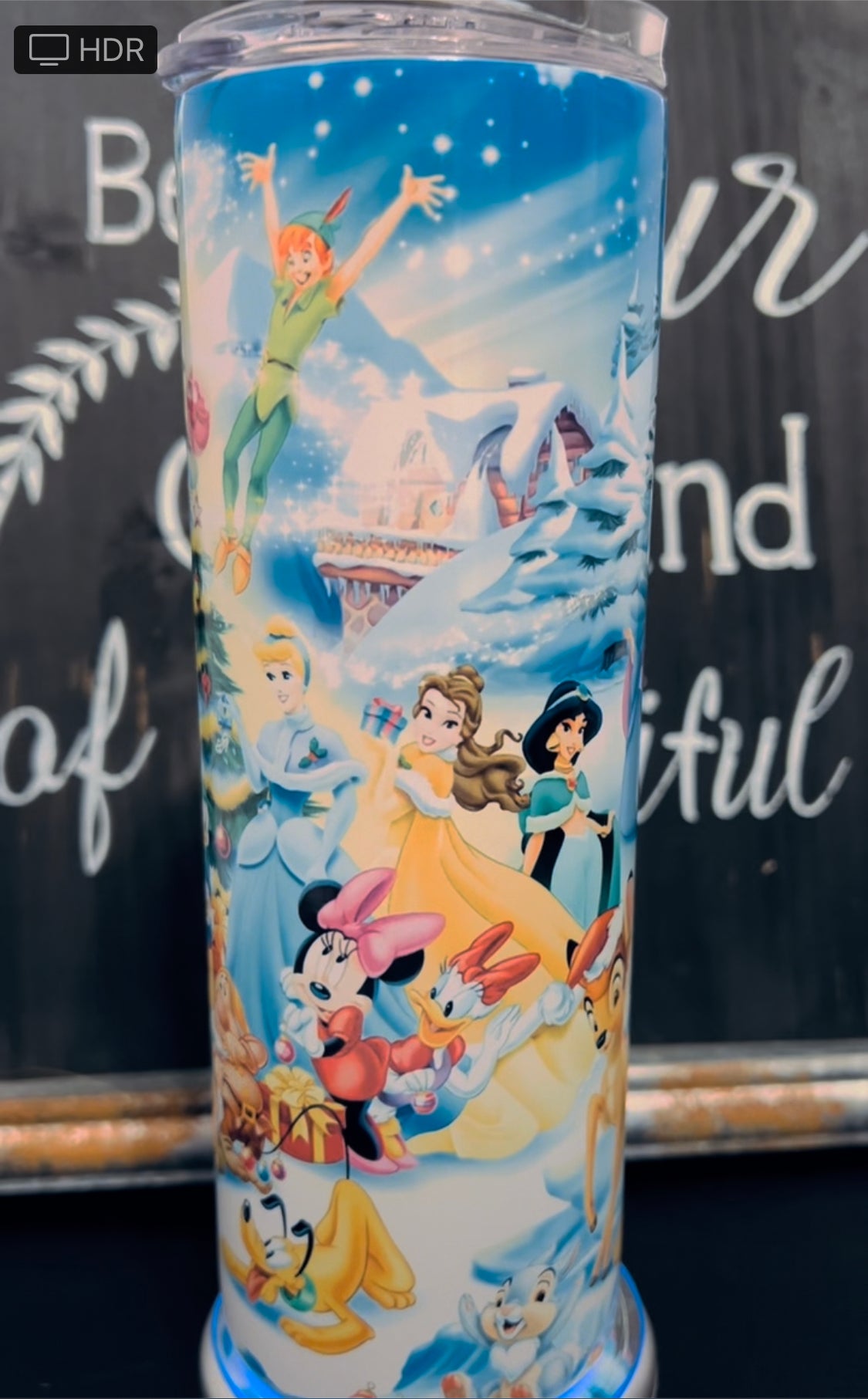 Disney Christmas 20oz Skinny Straight Tumbler