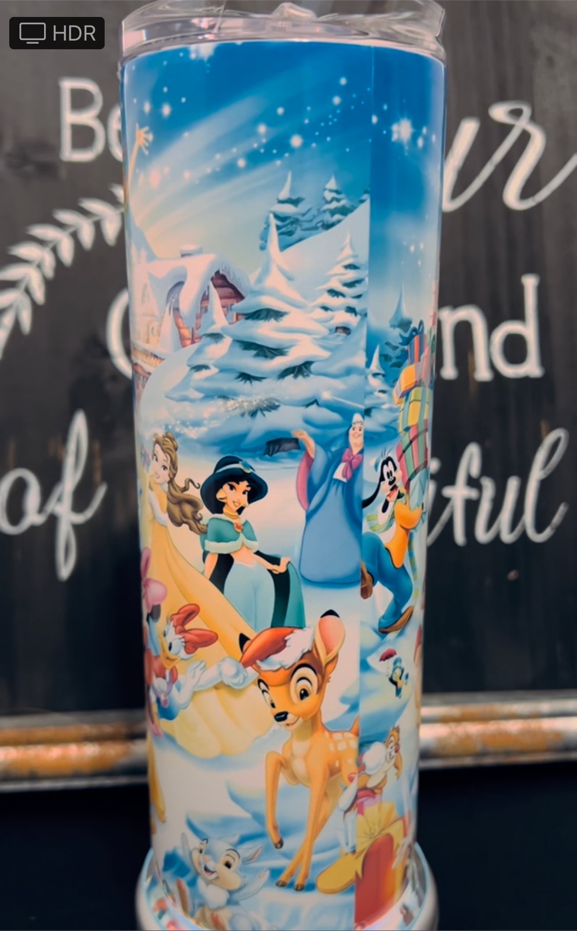 Disney Christmas 20oz Skinny Straight Tumbler