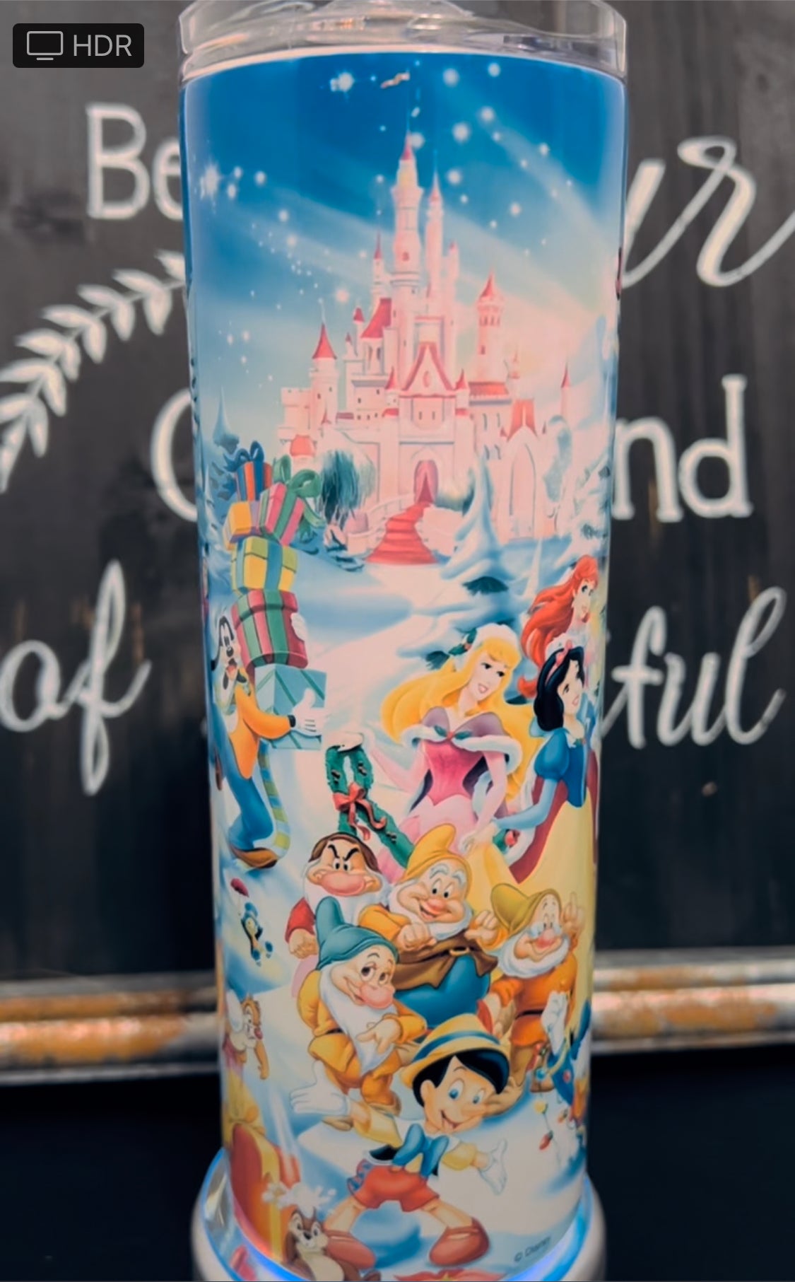 Disney Christmas 20oz Skinny Straight Tumbler