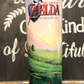 Legend of Zelda 20oz Skinny Straight Tumbler